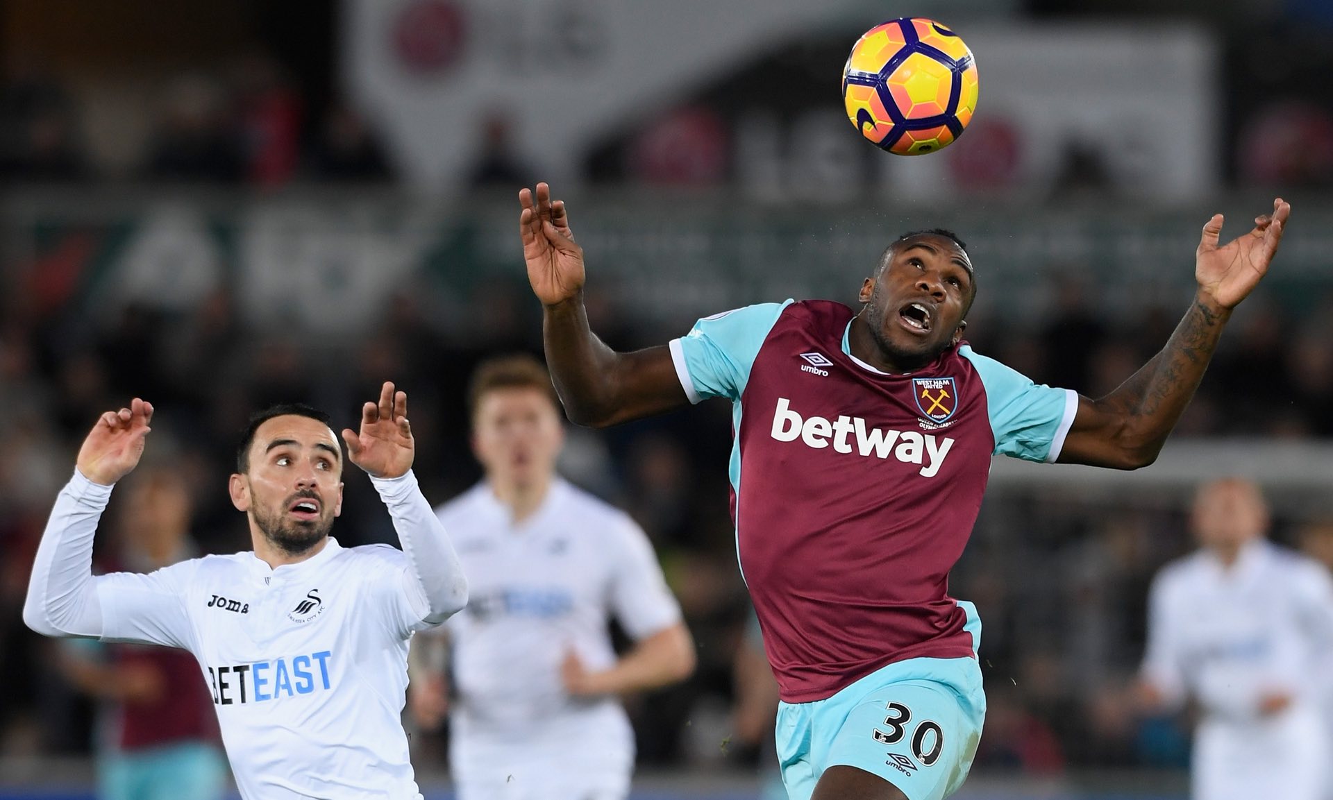 的市场全景 的市场全景